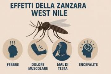 Misure di prevenzione, sorveglianza e risposta alla circolazione del virus West Nile, trasmesso dalla zanzara Culex